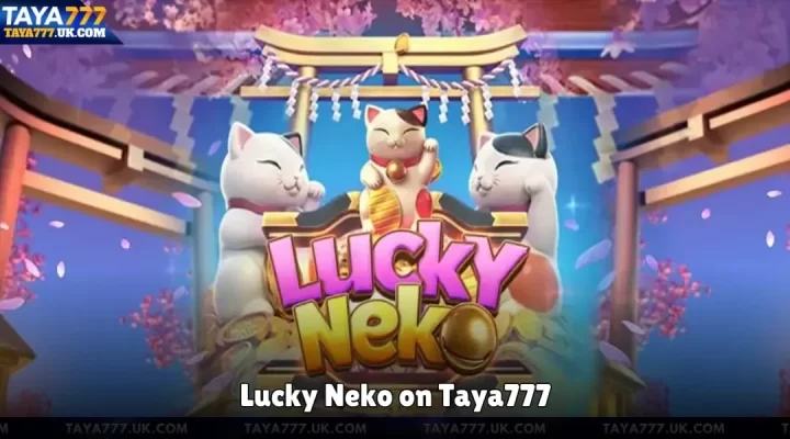 Lucky Neko on Taya777
