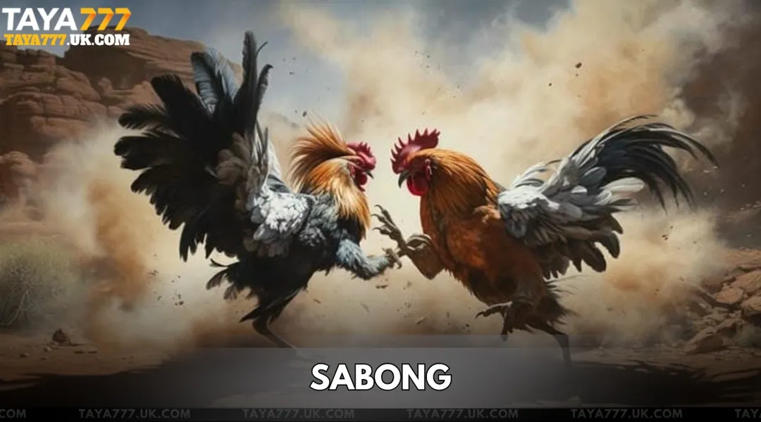 Taya777 Sabong